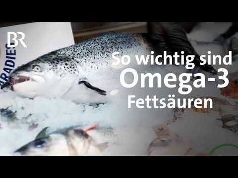 0 - Omega-3-Fettsäuren in der Schwangerschaft nicht vergessen!