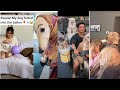 Funny Puppies And Cute DOGS  Videos Compilation 2020 [BEST OF]