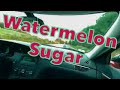 Country Cruise with Harry Styles - Watermelon Sugar