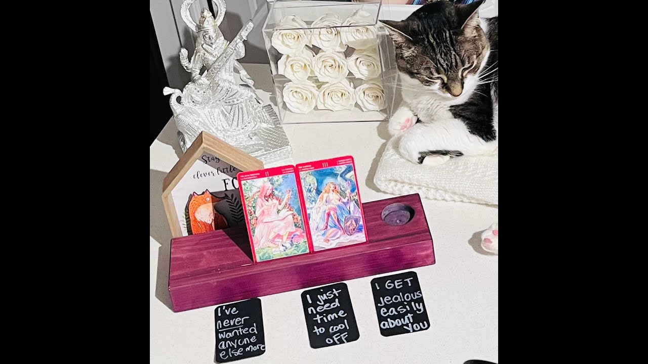 They've NEVER wanted anyone else MORE THAN YOU.  You're a MATURE AND WISE WOMAN OF SUBSTANCE