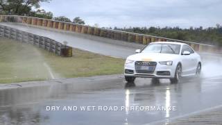 P Zero All Season Plus: Features and Benefits