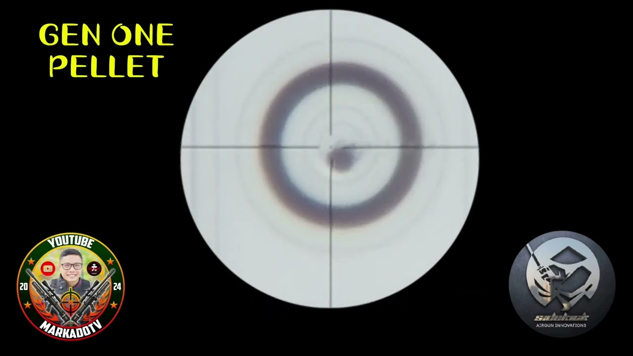 NB Pellet GEN 1 & GEN 2 COMPARISON TEST (SHOOTING 25 Meters BR25)