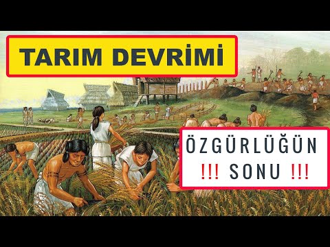 Neolitik Devrim: Tarımın Doğuşu - İnsanlık Tarihi III