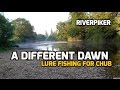 A different dawn - Chub lure fishing - (video 106 )