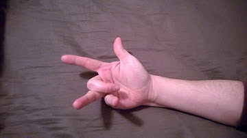 Count to 31 on One Hand! (Using the Power of Binary)