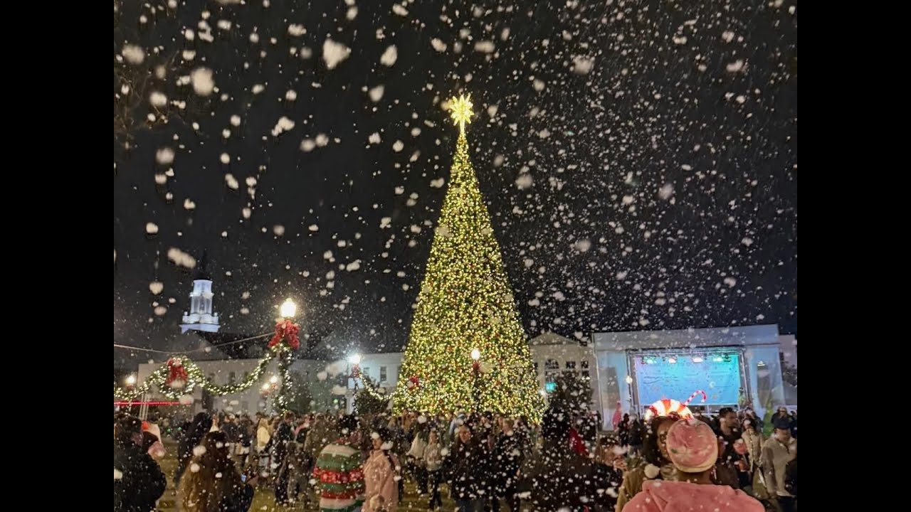 Move to Opelika: SNOPELIKA Magic in Downtown Opelika 