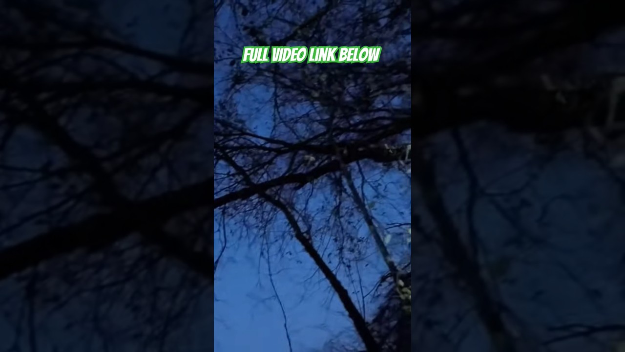 He's One Lucky Squirrel... Daily Dose Of Hunting ep.319 