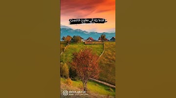 سورة القمر #قران_كريم #قرآن #تلاوة_هادئة #تلاوة_خاشعة #تلاوات_خاشعة #سورة_القمر