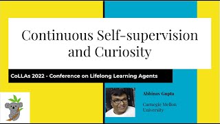 Continuous Self-supervision and Curiosity - Abhinav Gupta - CoLLAs 2022