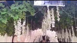 Terop Murah Tapi Istimewa