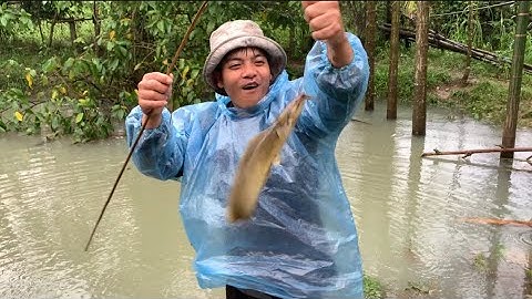 Trúng Cá Tre Khủng Khi Đi Cắm Câu Mùa Nước Lũ | Thành Quả Không Ngờ!