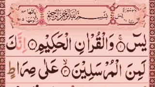 surah yaseen full][best tilawat surah Yasin QM Ismail sb 🌹 سورت یسین PaniPatti amazing