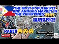 BOCAUE BULACAN PET MARKET PHILIPPINES LATEST UPDATE 01-14-22.vlog#318
