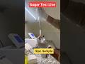 Live Sugar Test in Lab 🔴 | FBS/PP Result #sugar #shorts