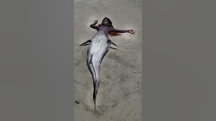 What mermaids would more than likely look like if they were real: