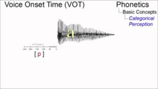 CATEGORICAL PERCEPTION THEORY