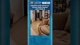 Patileriyle Kapıyı Kapatan Akıllı Köpek