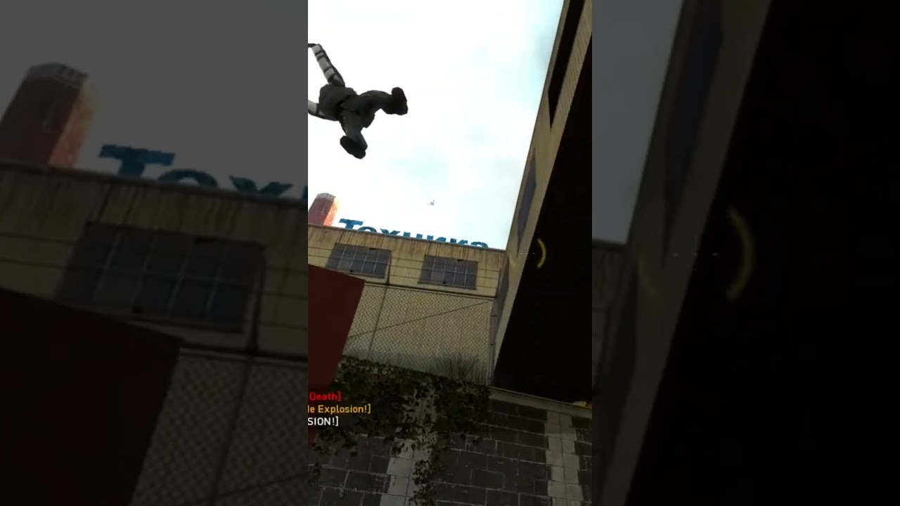 fly on the wings of loove! #gaming #halflifegameplay #retrogaming