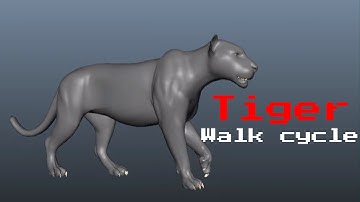 Tiger walk cycle
