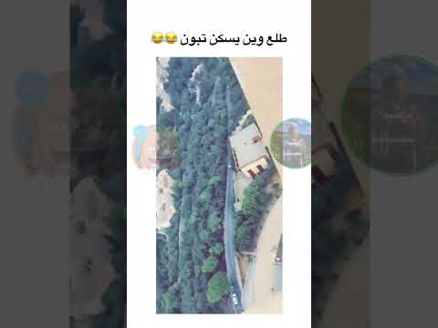 الجزائر العاصمة من أعلى مقام الشهيد Monument Alger Bouchaita Mohamed Boufarik بوشايطة محمد بوفاريك 