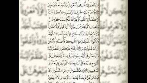 سورة البقرة من آية 232 إلي الآية 242 بصوت القارئ عبدالكريم 🌷