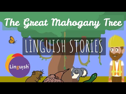 The great Mahogany Tree // LINGUISH STORIES