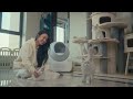 Call for Submissions: Share Your Cat Videos and Be Part of Our Exciting Compilation!