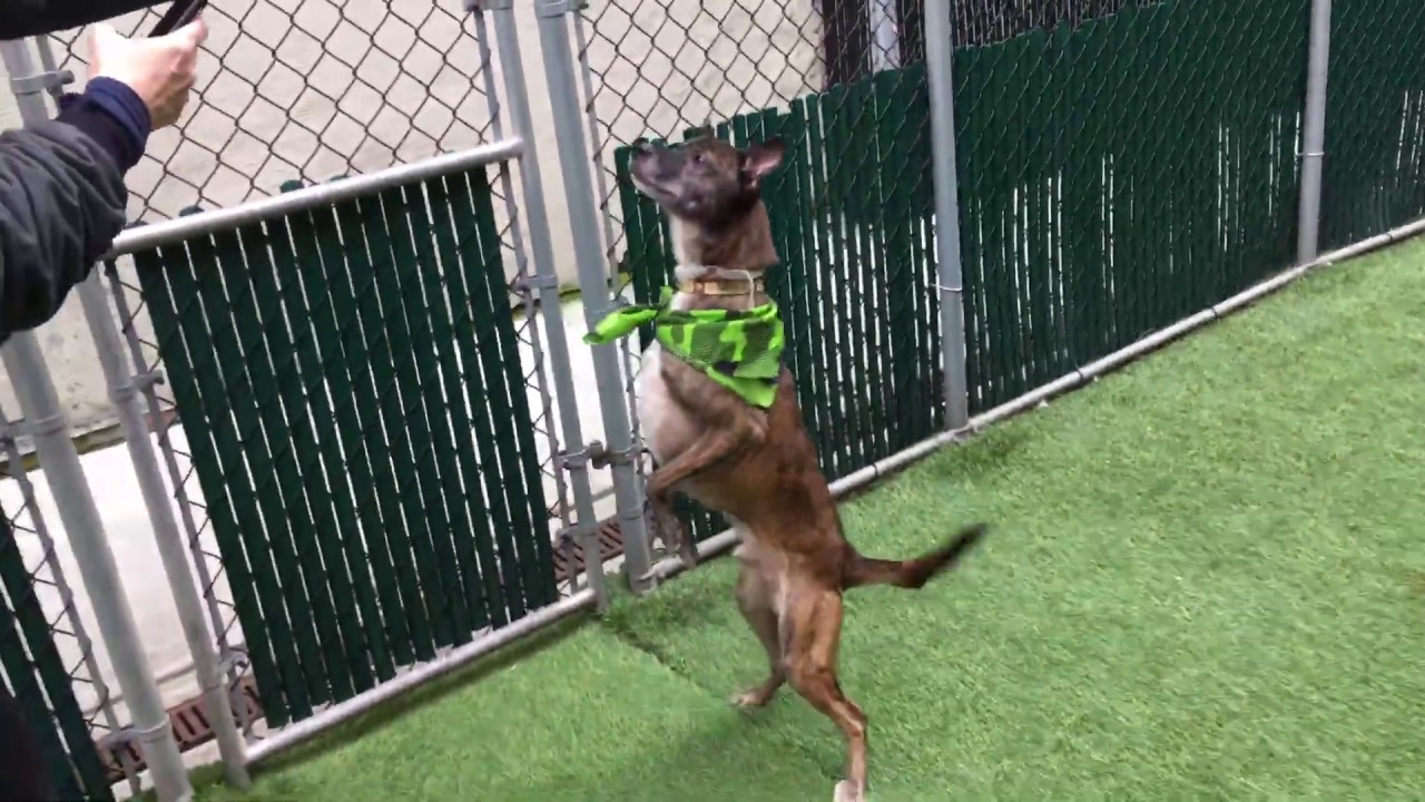 camera iphone 8 plus apk Don Draper 52214, our little dancer NYCACC