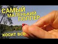 ПОВЕРХНОСТНЫЕ ПРИМАНКИ! И САМЫЙ МАЛЕНЬКИЙ ПОППЕР ЛОВИТ ВСЕ!!! КАРЬЕР. АВГУСТ. 2021.РЫБАЛКА #shorts