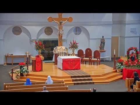וִידֵאוֹ: הכנסייה היוונית -קתולית של ברתולומיאו הקדוש (Kosciol sw. Bartlomieja) תיאור ותמונות - פולין: גדנסק
