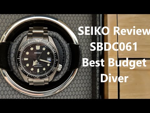 best budget diver