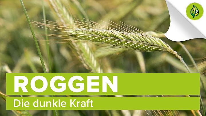 Roggen – die dunkle Kraft