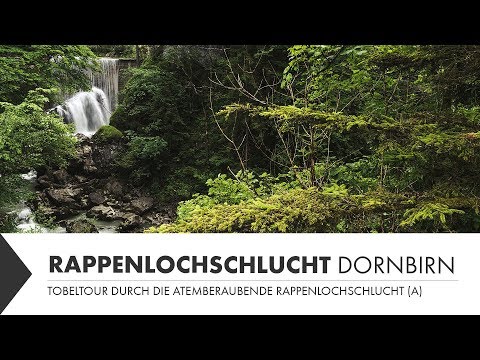 Wanderung durch die Rappenlochschlucht bei Dornbirn in Voralberg