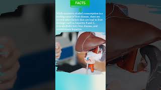 Liver Disease Only Affects Heavy Drinkers Myth & Facts | Liver Disease Treatment | Stem Cell Therapy