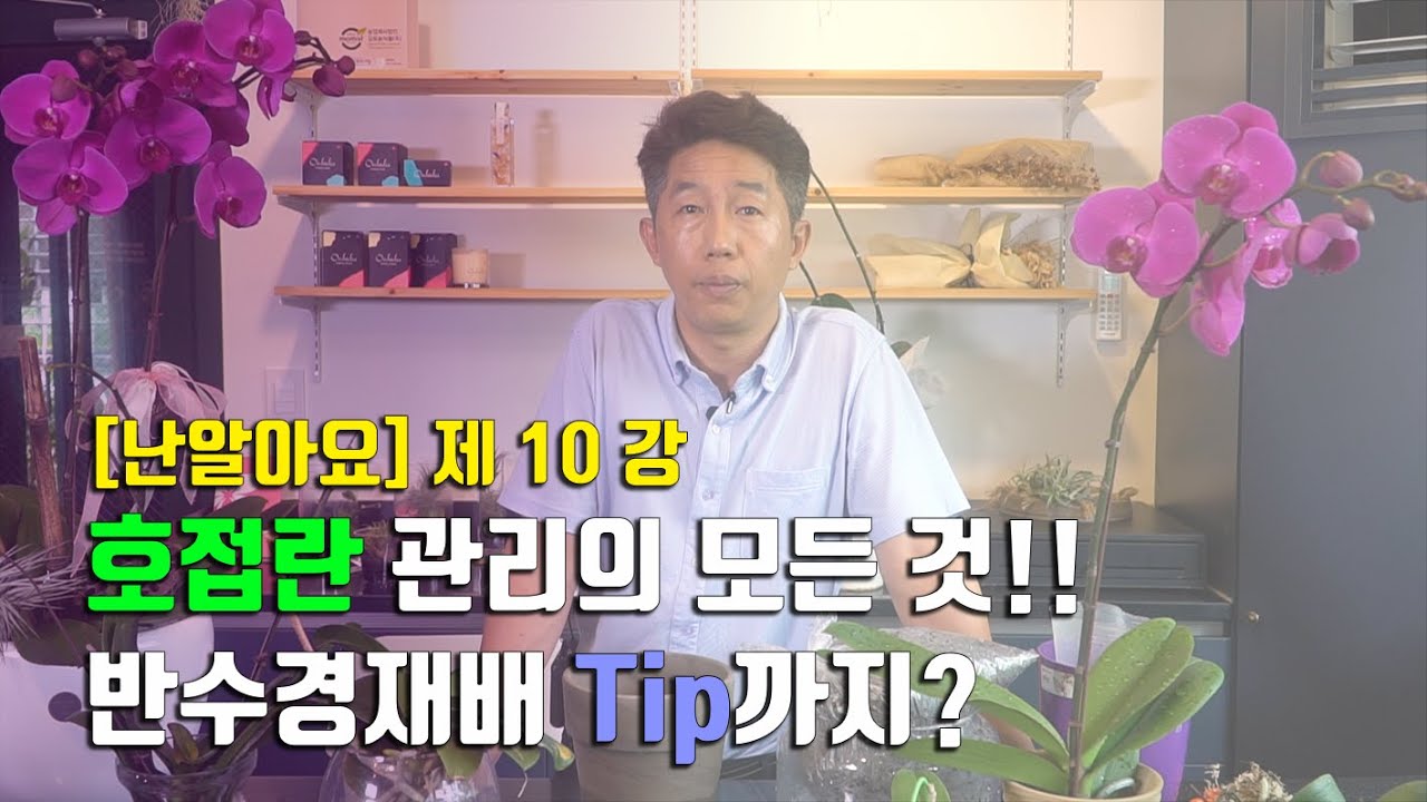 '난 알아요' 제 10강 - 호접란 관리법 총정리!!