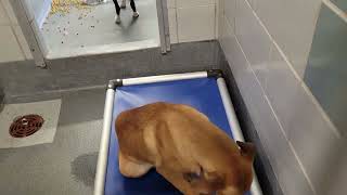 acs A670647