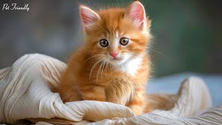 EXTREMELY SOOTHING Music For Cats  Make Your Cat Happy, Deep Relaxation, Sleep and Comfort