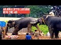 Jumboo Savari Elephant Lakshmi refuses to leave Mysore Palace Arjuna Lifts Lakshmi