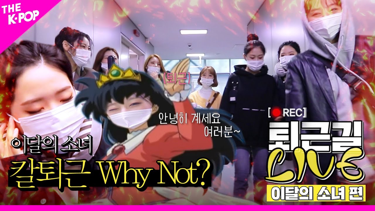 [퇴근길 LIVE] 이달의 소녀(LOONA) 칼퇴 가능? Why Not?