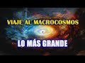 ¿Qué es lo más grande del Universo? Seres vivos mas grandes