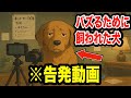 バズるために飼われた犬による告発動画 【アニメ】 【コント】