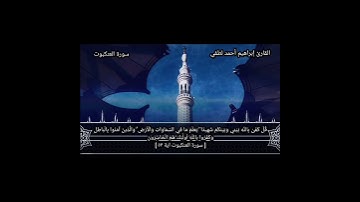 تلاوة تريح النفس من سورة العنكبوت✨#quran #قرآن