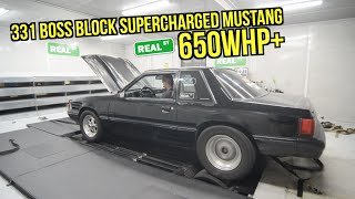 331 Boss Block Supercharged Mustang - 650WHP+ - Real Street Performance