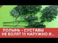 Полынь только наружно !!! Суставы не болят !И конечно во внутрь …