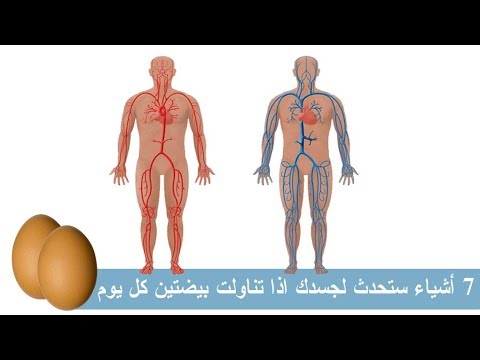 7 أشياء ستحدث لجسدك اذا تناولت بيضتين كل يوم 7,أشياء ,ستحدث, لجسدك, اذا, تناولت, بيضتين ,كل, يوم,