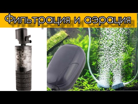 Фильтрация и аэрация аквариума