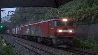 雨の朝、稲城で貨物列車。2019/10/04