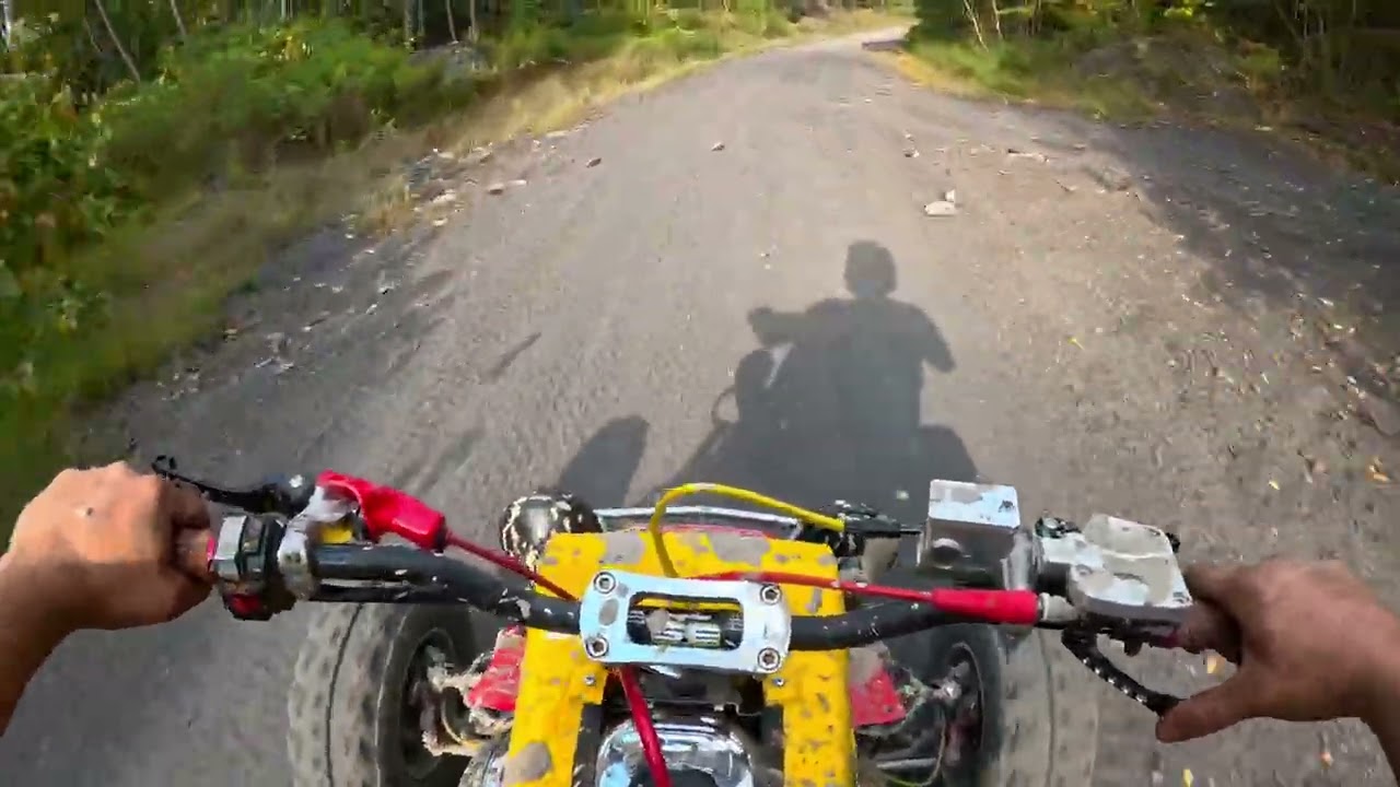 Little banshee POV from the other day