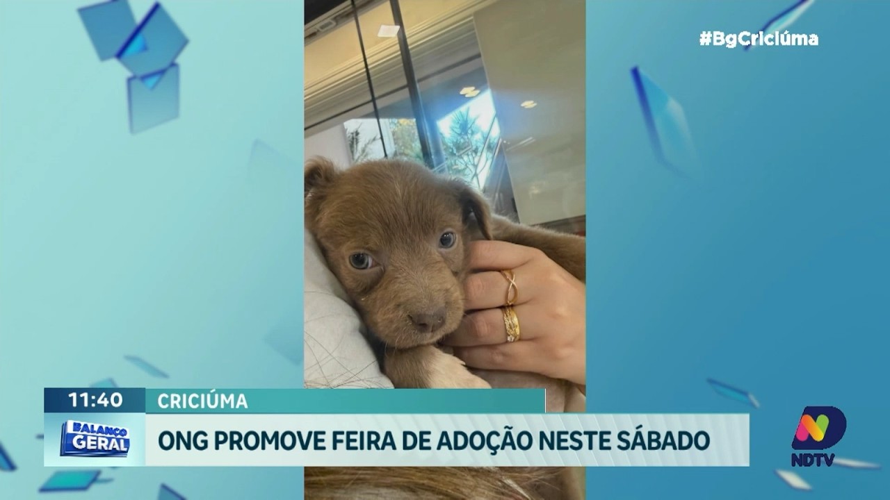 Criciúma Shopping recebe nova feira de adoção de animais
