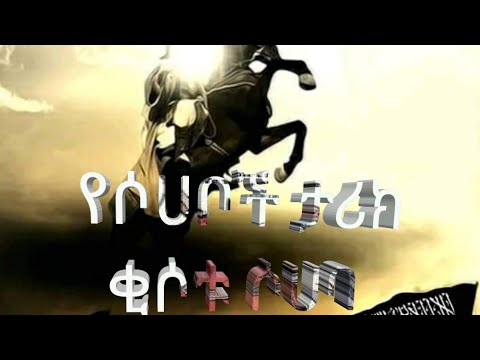 ቪዲዮ: አቢ ኮርኒስ: የህይወት ታሪክ, ሙያ, የግል ሕይወት